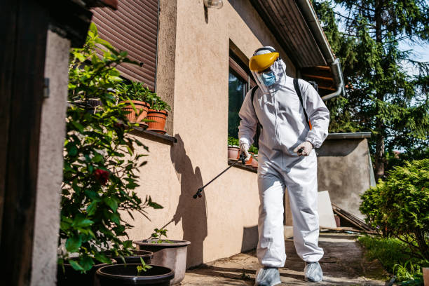 Best Local Pest Control Services  in Shandon, CA