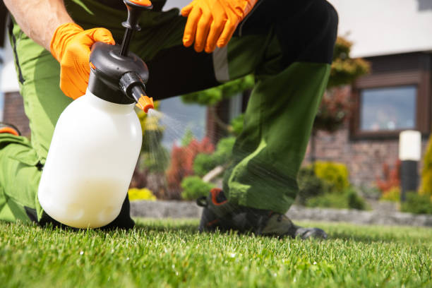 Best Cockroach Control Services  in Shandon, CA