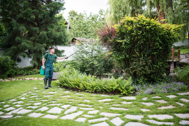 Best Exterminator Services  in Shandon, CA