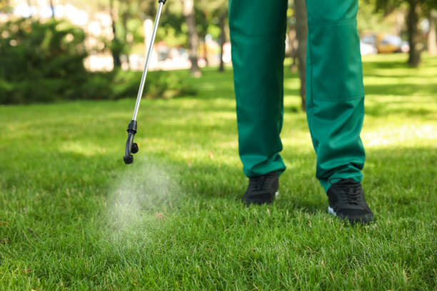 Best Rat Extermination Near Me  in Shandon, CA