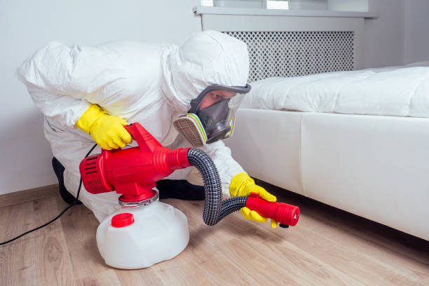 Professional Pest Control in Shandon, CA