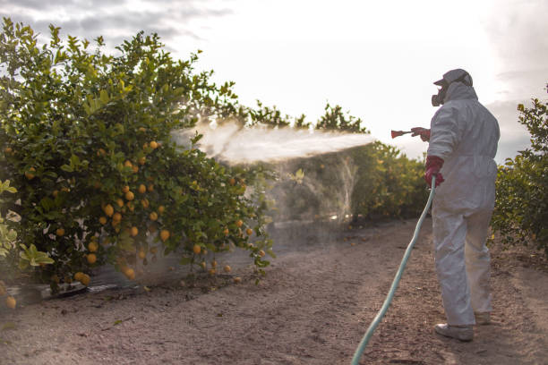 Best Best Pest Control Companies  in Shandon, CA