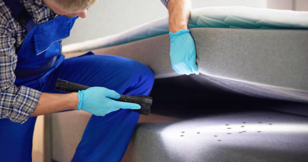 Best Pest Control for Restaurants  in Shandon, CA