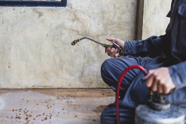 Best Commercial Pest Control Services  in Shandon, CA
