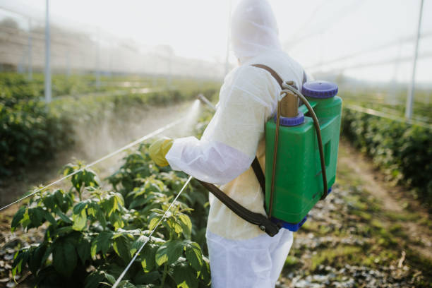 Pest Control for Restaurants in Shandon, CA